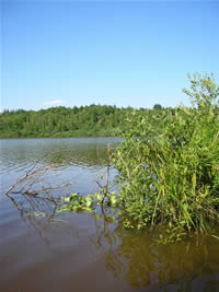 Jezioro Obradowskie