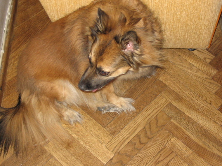 [IMG_0792.jpg]