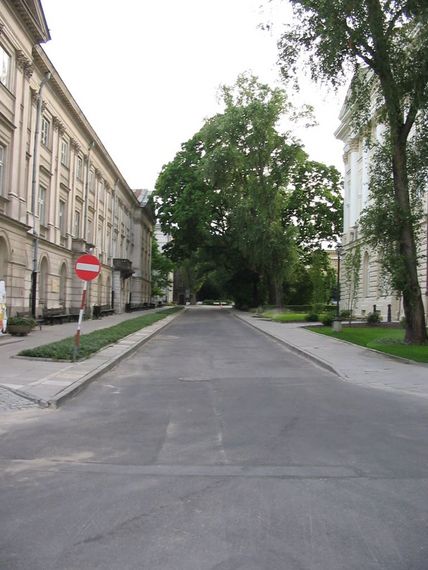 [IMG_0994.jpg]