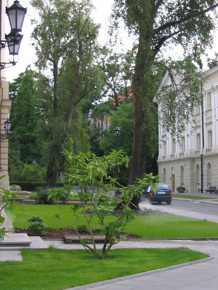 [IMG_1013.jpg]