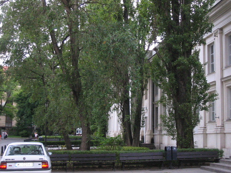 [IMG_1016.jpg]