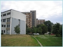 [IMG_7117.JPG]