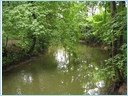 [IMG_7185.JPG]