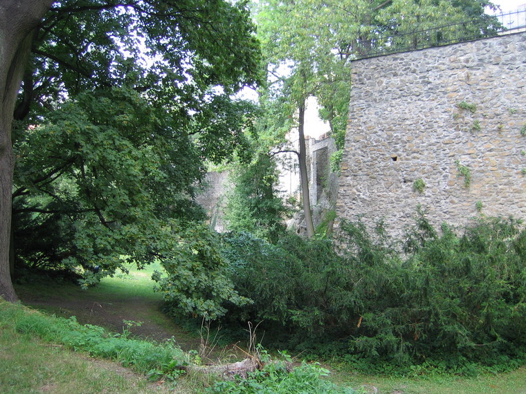 [IMG_6962.JPG]