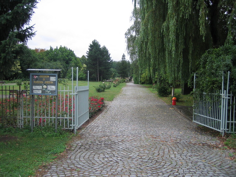 [IMG_7184.JPG]