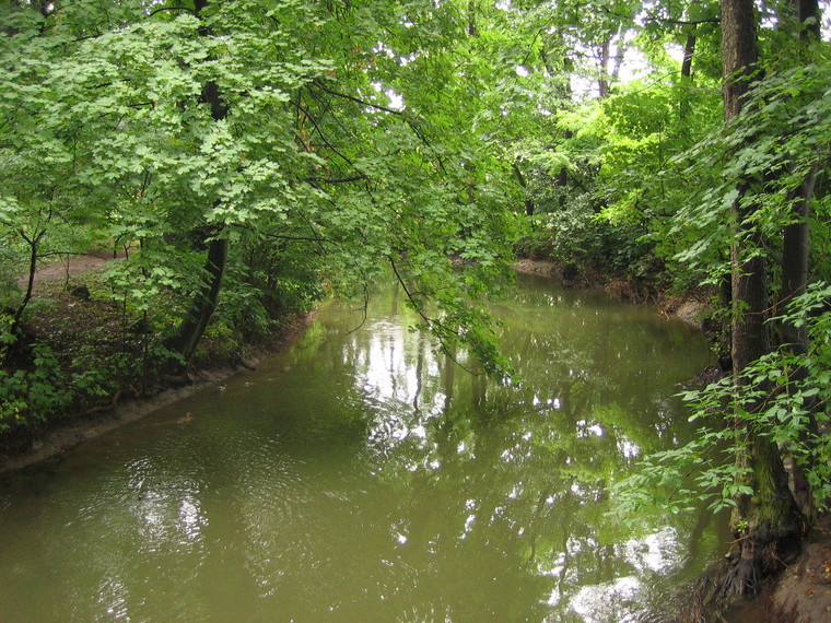 [IMG_7185.JPG]