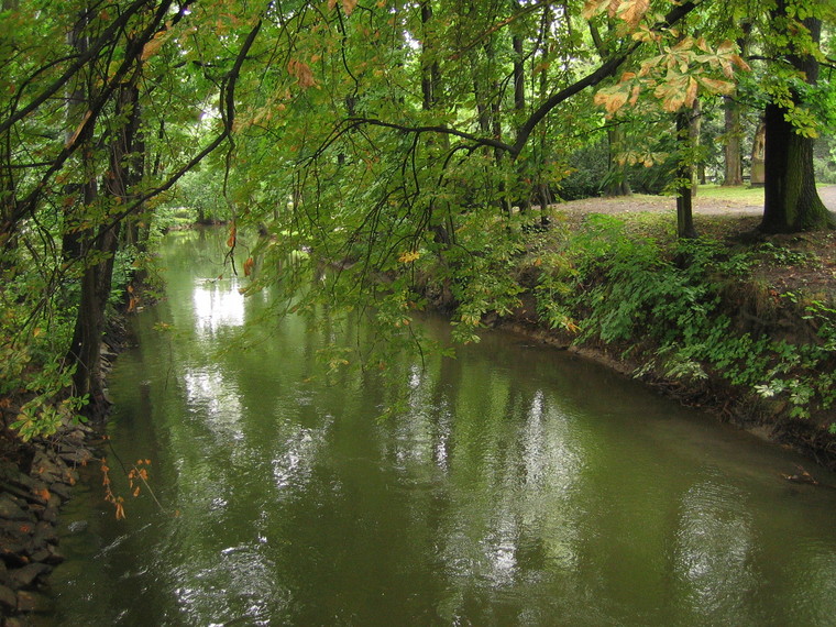 [IMG_7186.JPG]