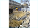[DSC00204.JPG]