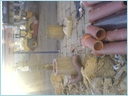 [DSC00218.JPG]