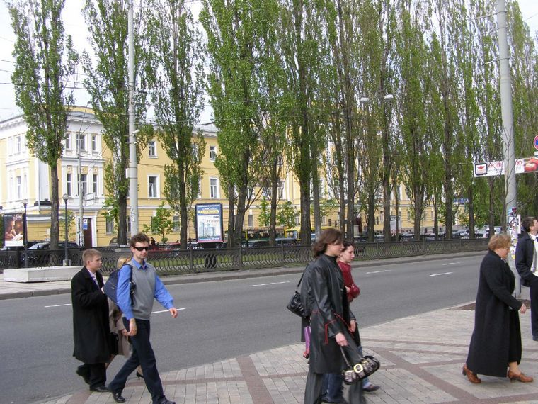 [P5080021.JPG]