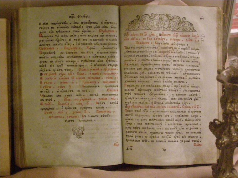 [P5110261.JPG]