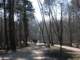 Photo Number 9