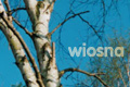 Wiosna