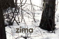 Zima