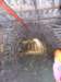 dsc00682_small.jpg