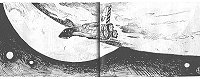 FF il. 16 