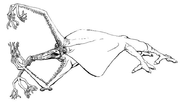 141650932101.jpg